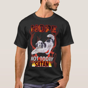 Camiseta Não Hoje Satanás English Setter 01