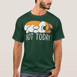 Camiseta Não Hoje Um Cachorro Engraçado Dormia Com Cachorro