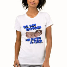 NÃO PERTURBA, EU ESTOU TENDO UM NAP