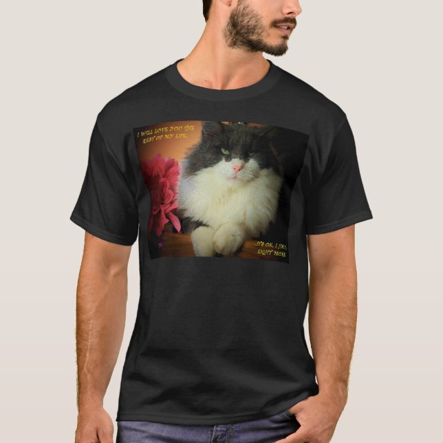 Camiseta Não Tem Medo De Cometer O Meme Cat (Frente)
