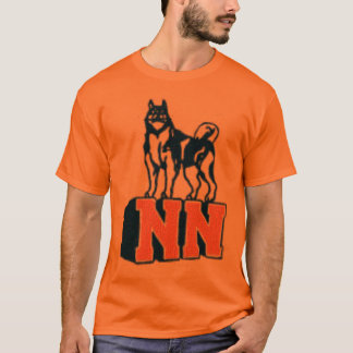 Camiseta Napervillenorthhs
