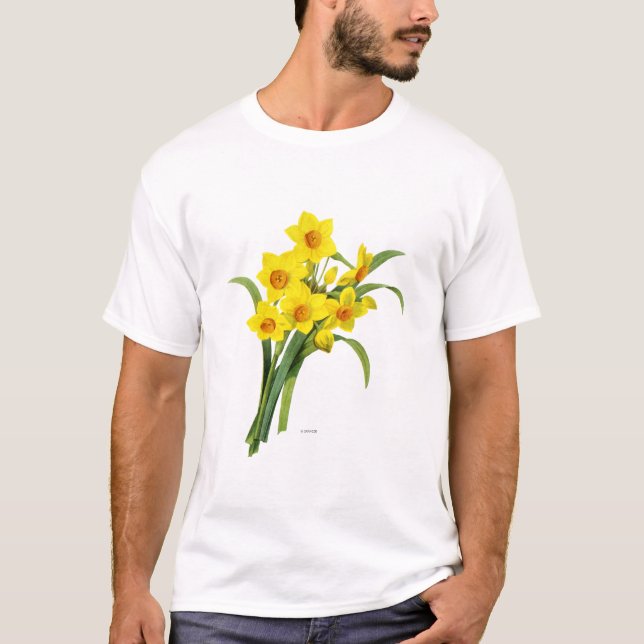 Camiseta Narciso (N Tazetta) (Frente)