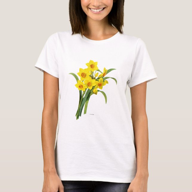 Camiseta Narciso (N Tazetta) (Frente)