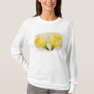Camiseta Narcisos amarelos