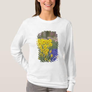 Camiseta Narcisos e Jacintos-de-uva, Keukenhof