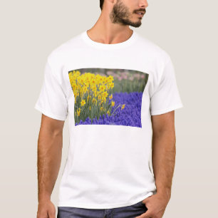Camiseta Narcisos e Jacintos de Uva, Keukenhof 3