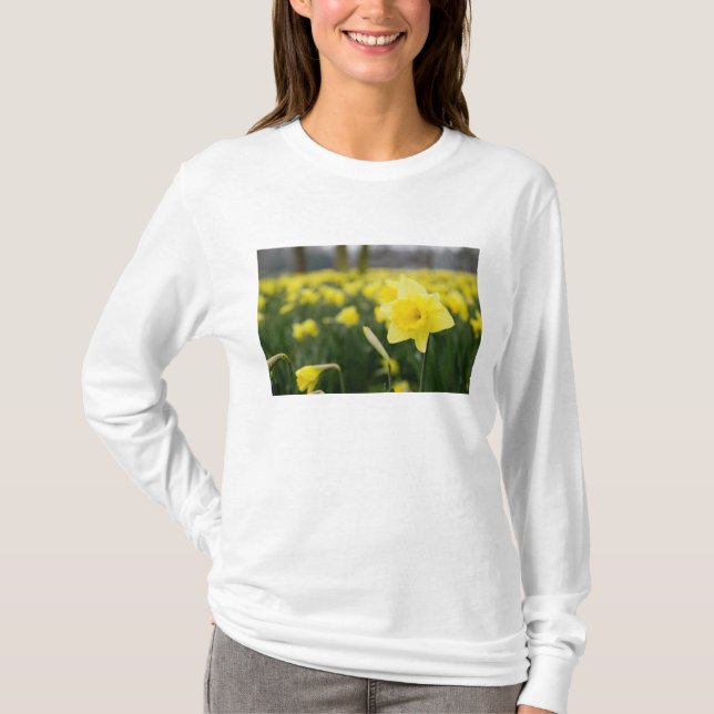 Camiseta Narcisos (RF) (Frente)