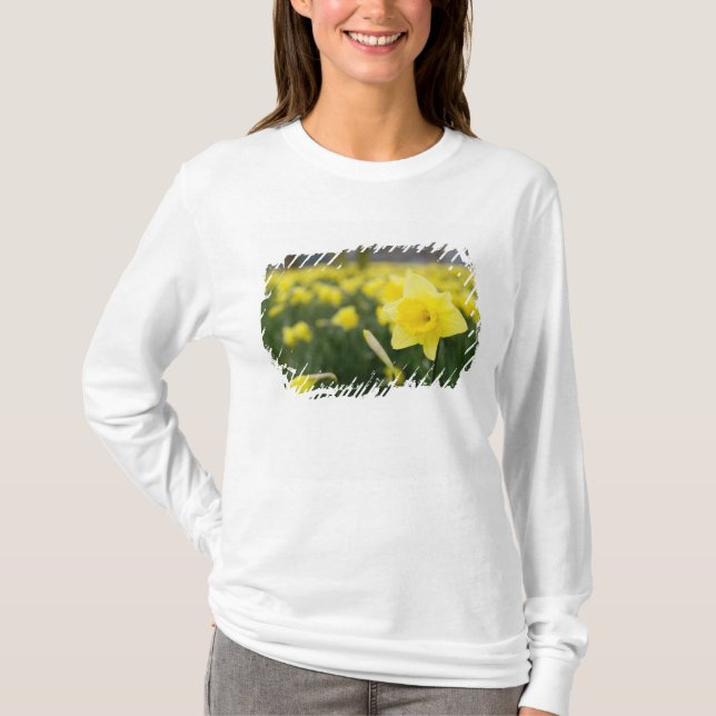 Camiseta Narcisos (RF) (Frente)