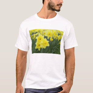 Camiseta Narcisos RF)