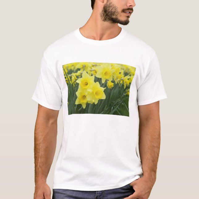Camiseta Narcisos RF) (Frente)