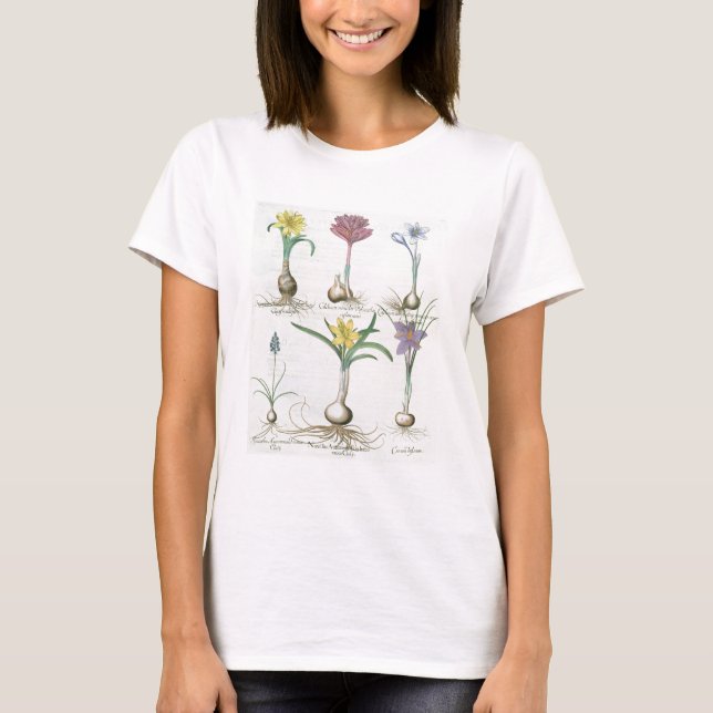Camiseta Narcissi, Crocuses e Hyacinth: 1.Narciso autum (Frente)
