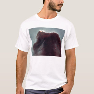 Camiseta NASA - A nebulosa de Horsehead