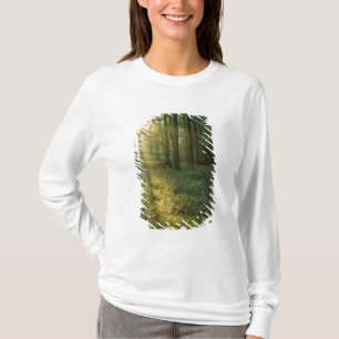 Camiseta Nascer do sol através da floresta de carvalho e no