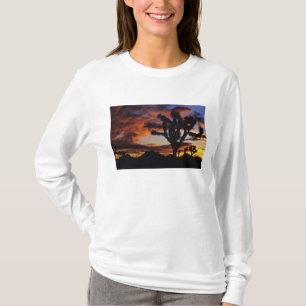 Camiseta Nascer do sol espetacular no Parque Nacional Joshu