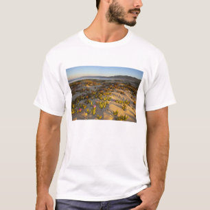 Camiseta Nascer do sol ilumina as dunas de areia e a figuei