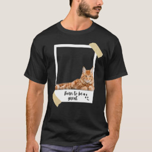 Camiseta Nascer Este Excelente De Gato E Kit De Moa De Main