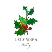 Nascimento Mês Flor Dezembro Holly