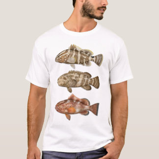 Camiseta Nassau, Golias e T-shirt do Red Grouper