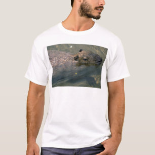 Camiseta Natação do Capybara