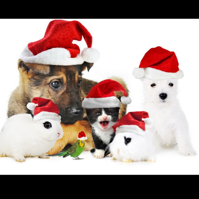 Camiseta Natal animal (Fun Festive Style Red Hats Cute T-Shirt!)