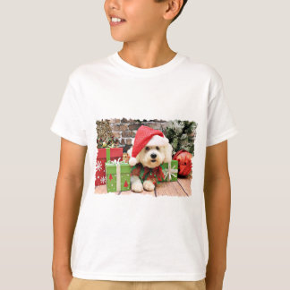 Camiseta Natal - Bichon Frise - margarida