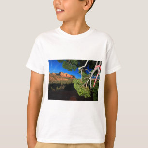 Camiseta Natal do sudoeste