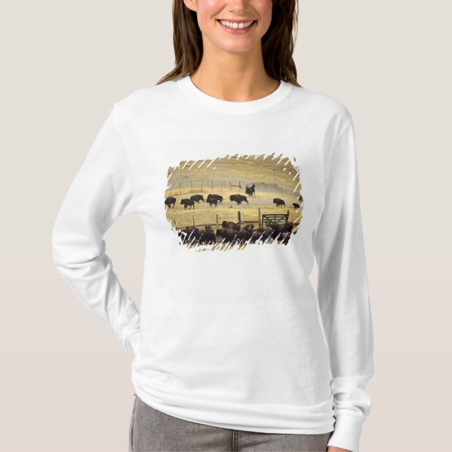 Camiseta National Bison Range Roundup em Montana (Frente)