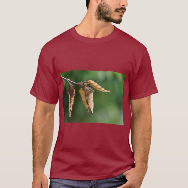 Camiseta Nature-Inspired Leaves Print Tee (Frente)