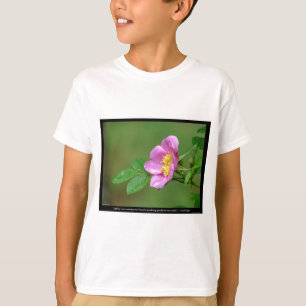 Camiseta Natureza Do Amor Rosa Selvagem Tempestade de Prima