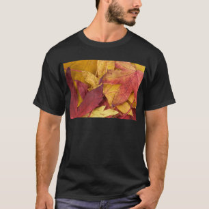 Camiseta Natureza Folhas Outono Queda Árvore Folha Colorida
