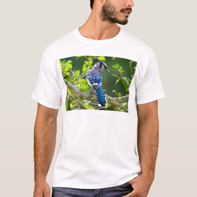 Camiseta Natureza Fotografia Shy Blue Jay Roupa presente (Frente)