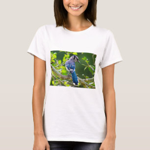Camiseta Natureza Fotografia Shy Blue Jay Roupa presente