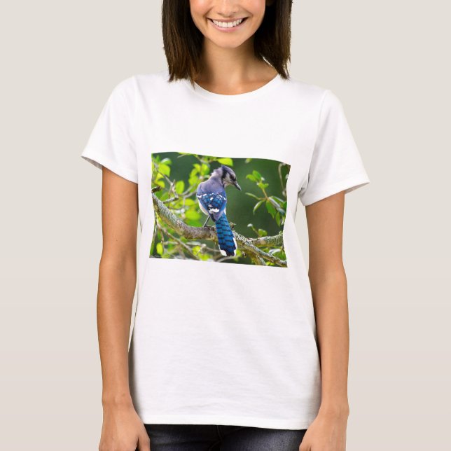 Camiseta Natureza Fotografia Shy Blue Jay Roupa presente (Frente)