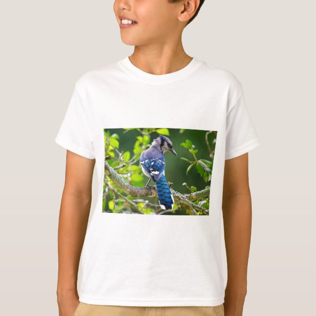 Camiseta Natureza Fotografia Shy Blue Jay Roupa presente (Frente)