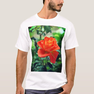 Camiseta Natureza Rosa Rosa Rosa Flor