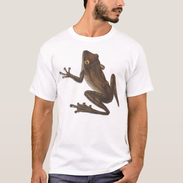 Camiseta Natureza Selvagem Sapo de répteis (Frente)