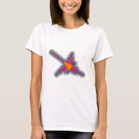 Nazca Hummingbird Peru Drawing