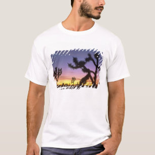 Camiseta NEVADA. EUA. Árvores de Josué Yucca brevifolia)