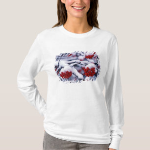 Camiseta Neve em Bagas de Freixo de Montanha Europeu, Utah.