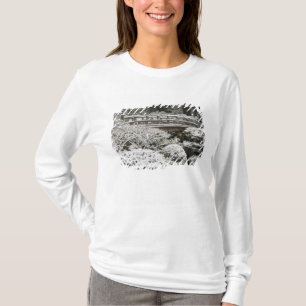 Camiseta Neve no Jardim Japonês de Portland,
