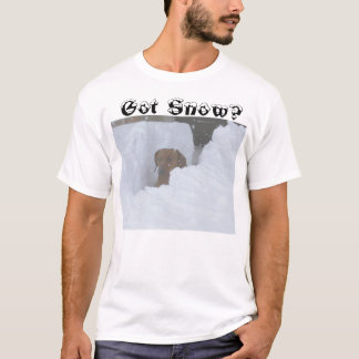 Camiseta Neve obtida?