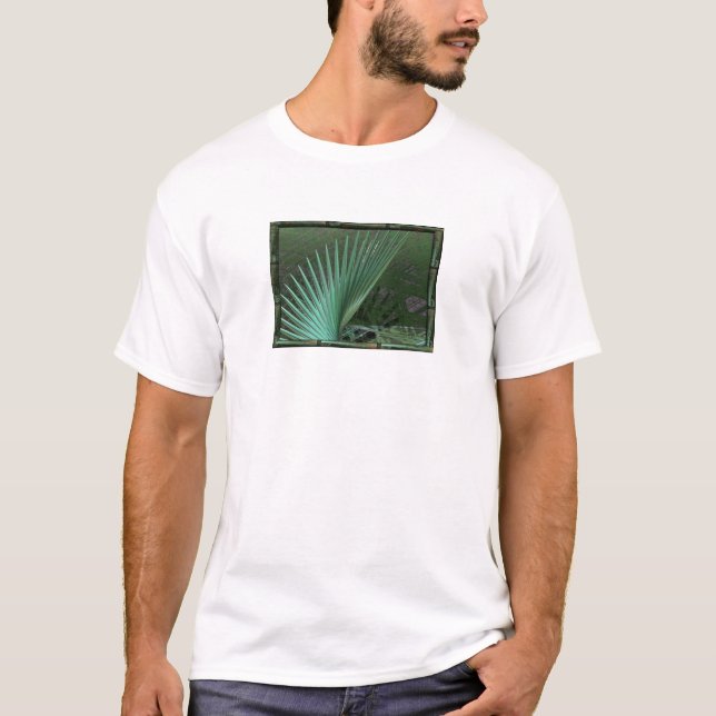Camiseta Neverglades (Frente)