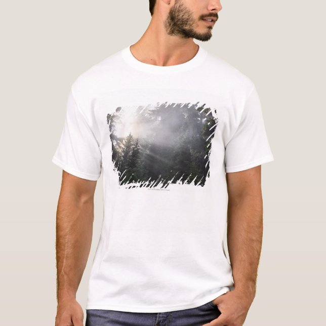 Camiseta Névoa & feixes de Sun em uma floresta de (Frente)