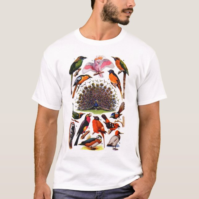 Camiseta newartsweb - Birds of a Feather (Frente)