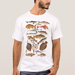 Camiseta newartsweb - tão muito mais peixes, tão pouca ho