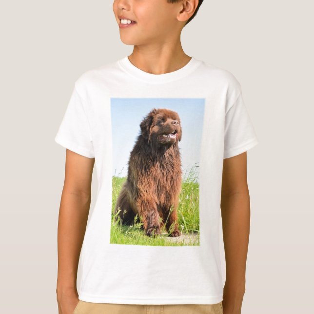 Camiseta newfie sitting.png (Frente)