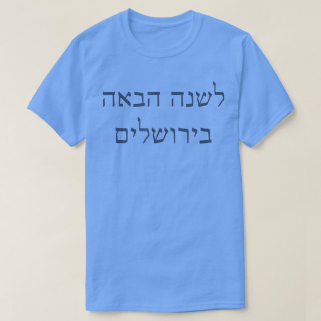 Camiseta Next Year In Jerusalem Hebrew Passover Seder Jewis (Frente do Design)