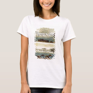 Camiseta Niagara Falls, 1818 (gravura da cor)