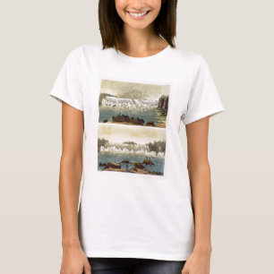 Camiseta Niagara Falls, 1818 (gravura da cor)