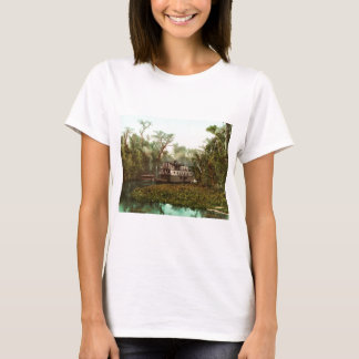 Camiseta No Ocklawaha Florida